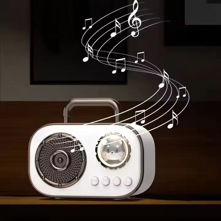 Wireless Portable Mini Speaker with Radio